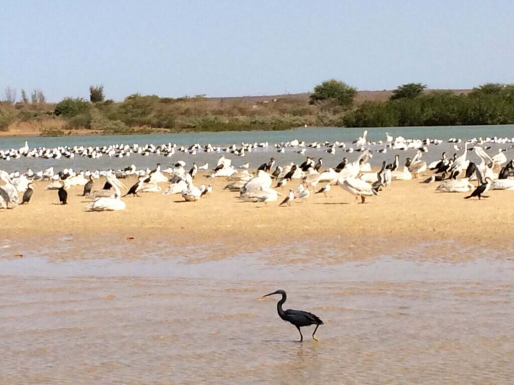 La Lagune de Somone